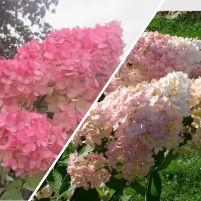 Комплект МНОГОГРАННОСТЬ в Самохваловичи