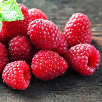 Малина ЭРИКА в Самохваловичи