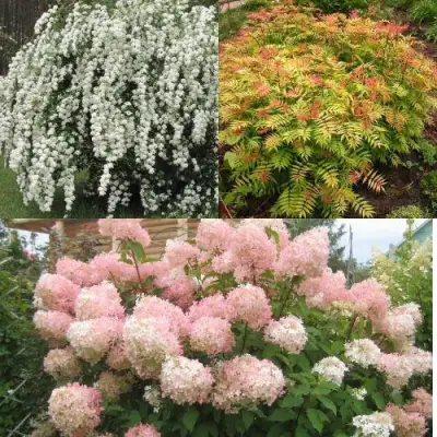 Комплект ФЕЙЕРВЕРК ЛЕТА в Самохваловичи