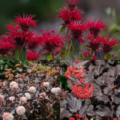 Комплект ОГНЕННЫЙ МИКС в Самохваловичи