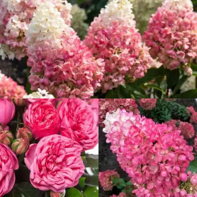 Комплект МАЛИНОВЫЙ ДЕСЕРТ в Самохваловичи