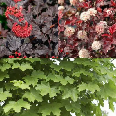 Комплект ОСЕННИЙ КОСТЕР в Самохваловичи