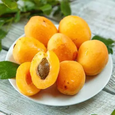 Абрикос АНАНАСНЫЙ в Самохваловичи