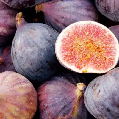 Инжир МУАССОН в Самохваловичи