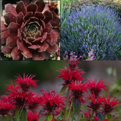 Комплект ФИОЛЕТОВОЕ ВДОХНОВЕНИЕ в Самохваловичи