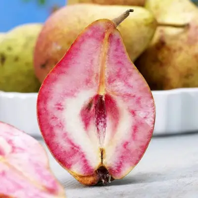 груша Блютберн