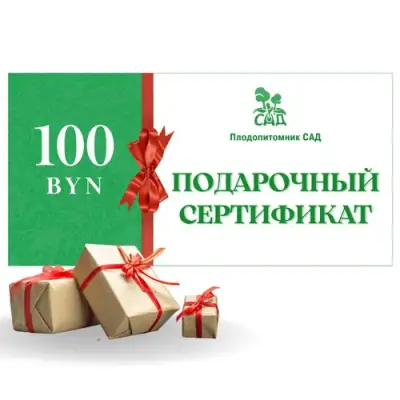 Подарочный сертификат на 100 BYN в Самохваловичи