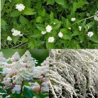 Комплект СКАНДИНАВСКИЙ СТИЛЬ в Самохваловичи