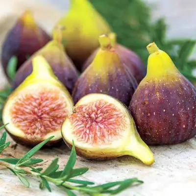 Инжир НИКИТСКИЙ в Самохваловичи