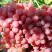 Виноград КИШМИШ КРАСНЫЙ в Самохваловичи