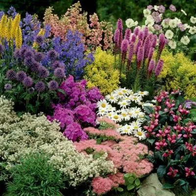 Травы  Травы в Самохваловичи