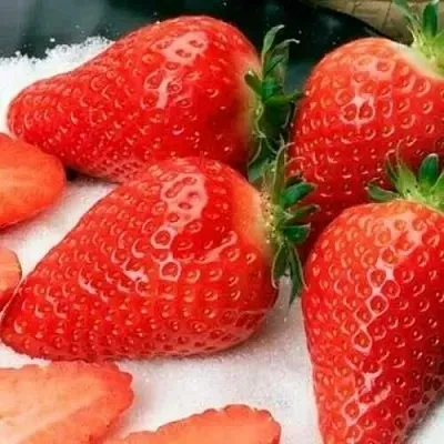 Клубника АЛЬБА  Клубника АЛЬБА в Самохваловичи