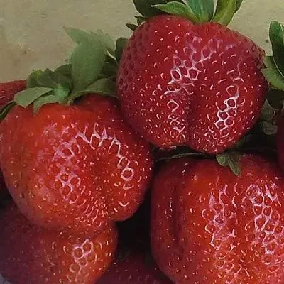 Клубника ДЕСТЕНИ  Клубника ДЕСТЕНИ в Самохваловичи