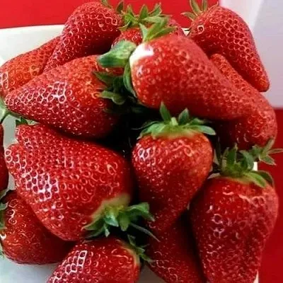 Клубника БРИЛЛА  Клубника БРИЛЛА в Самохваловичи