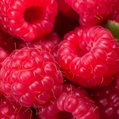 Красная в Самохваловичи