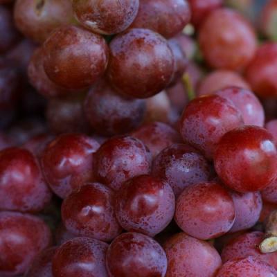 Красный в Самохваловичи