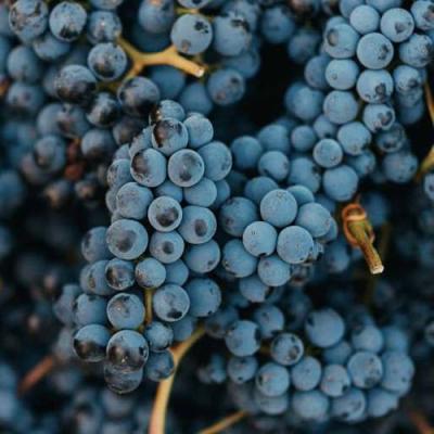 Технический в Самохваловичи